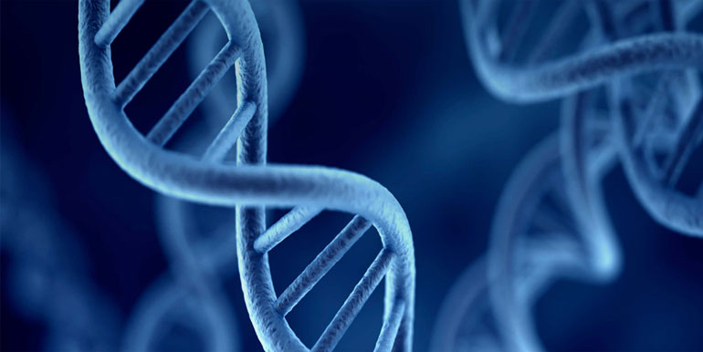 Preimlantasyon Genetik Tanı Yani PGT Nedir ?