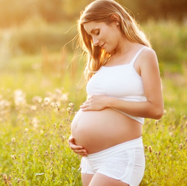 Taşıyıcı Annelik Programı